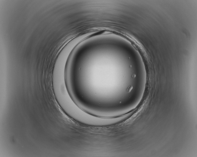 X0000113620809200909181438