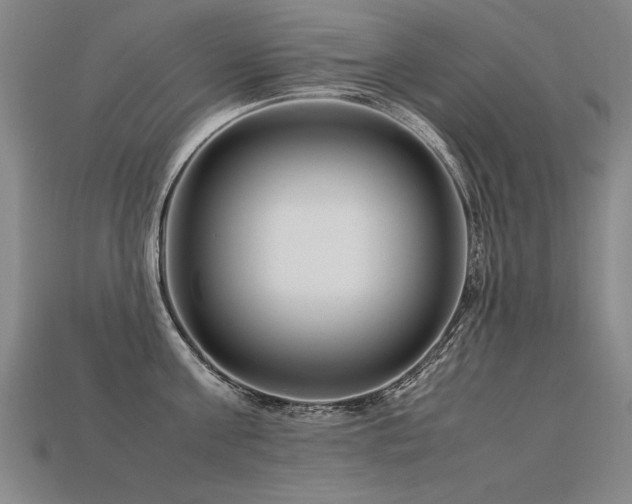 X0000113620811200909181438