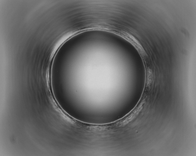 X0000113620812200909181438