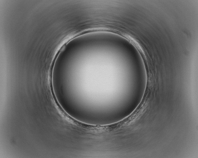 X0000113620813200909181438