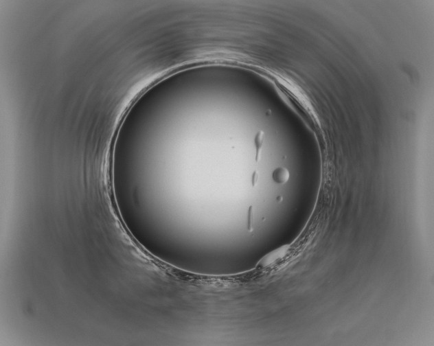 X0000113620815200909181438