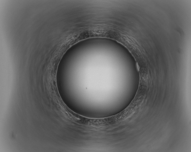 X0000113620817200909181437