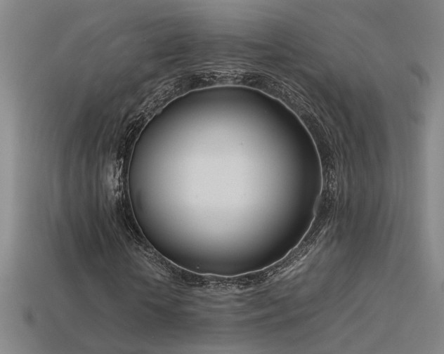 X0000113620818200909181437