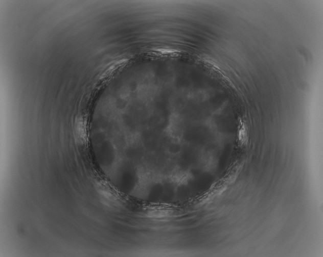 X0000113620819200909181437