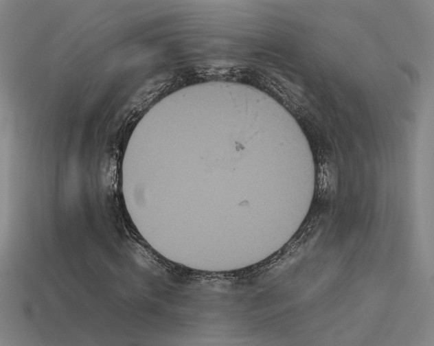 X0000113620820200909181437