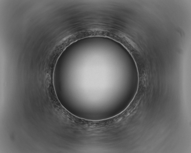 X0000113620821200909181437