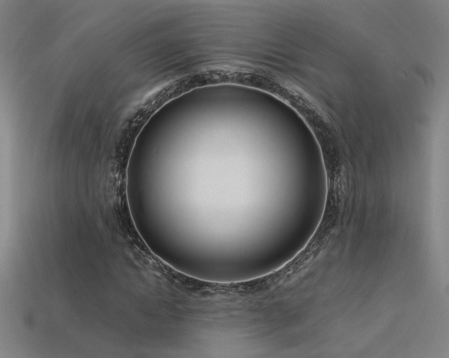 X0000113620822200909181437