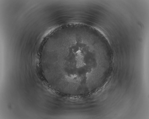 X0000113620823200909181437