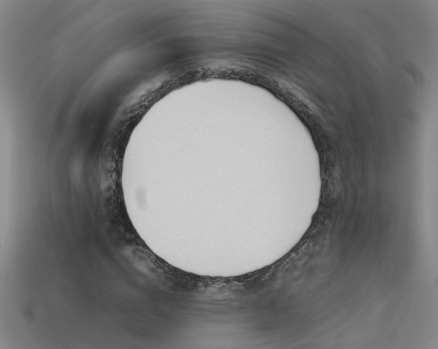 X0000113620824200909181437