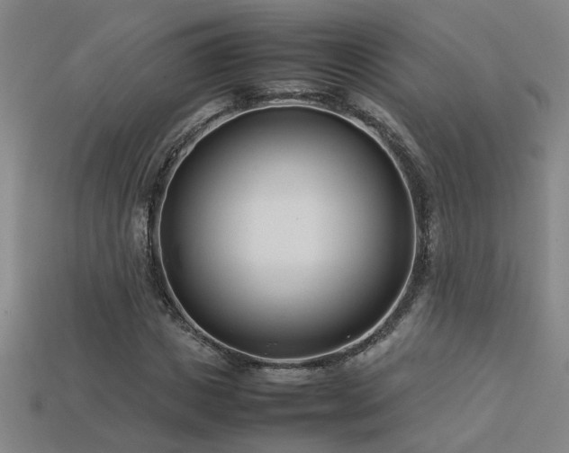 X0000113620825200909181437