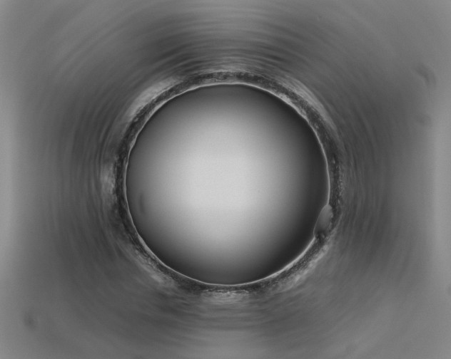 X0000113620826200909181437