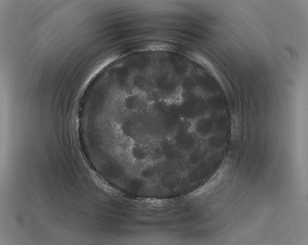 X0000113620827200909181437