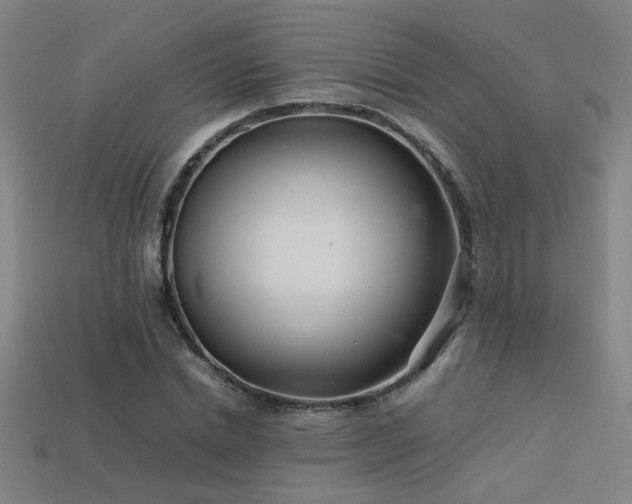 X0000113620830200909181437