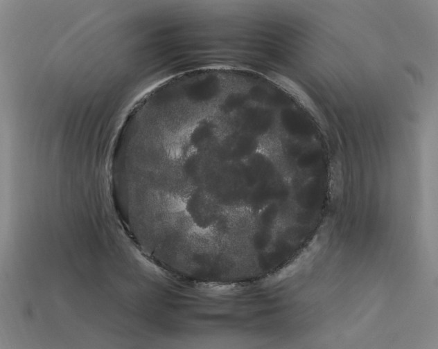 X0000113620831200909181437