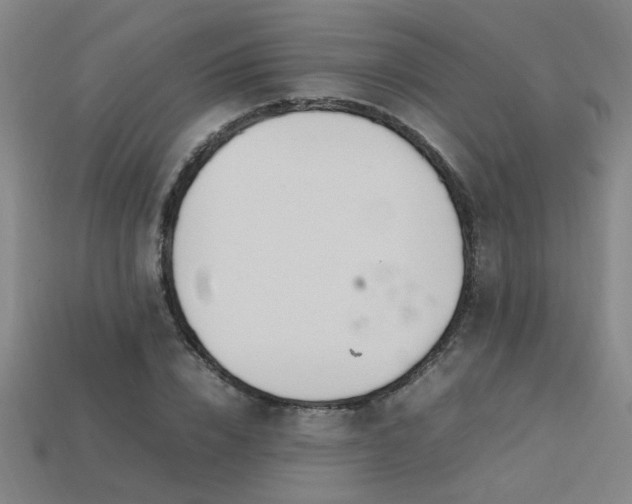 X0000113620832200909181437