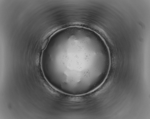 X0000113620833200909181437