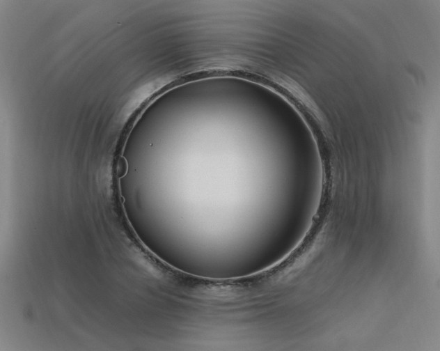 X0000113620834200909181437