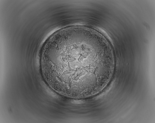 X0000113620835200909181437