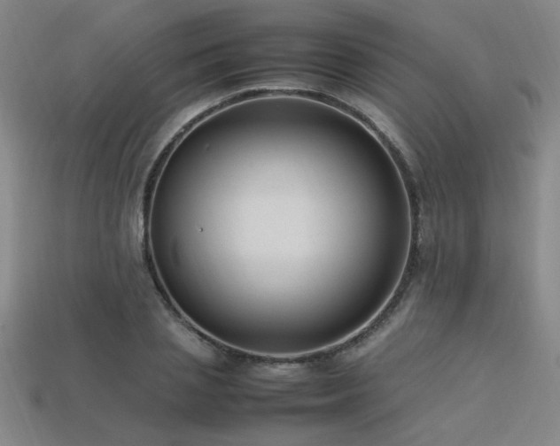 X0000113620837200909181437