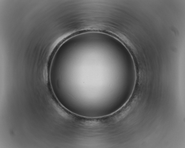 X0000113620838200909181437