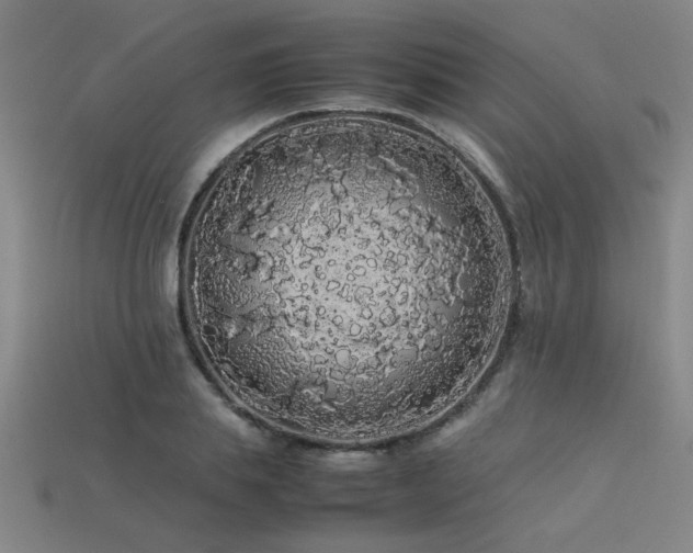 X0000113620839200909181437