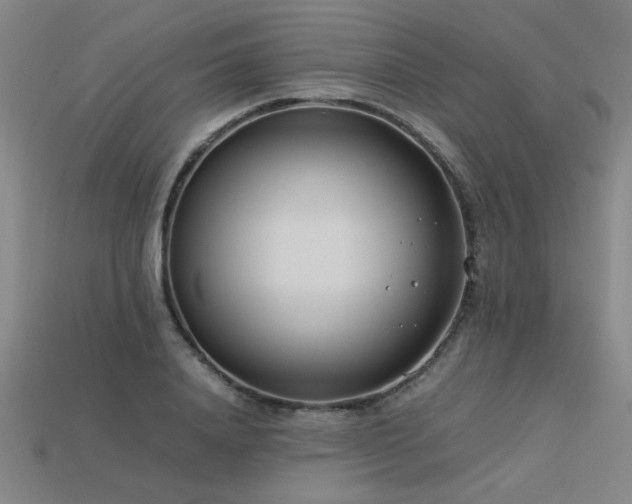 X0000113620840200909181437