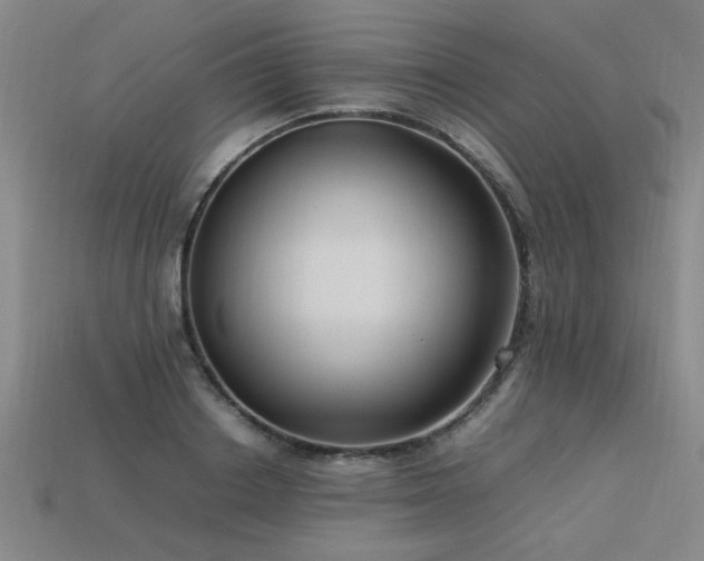 X0000113620842200909181437