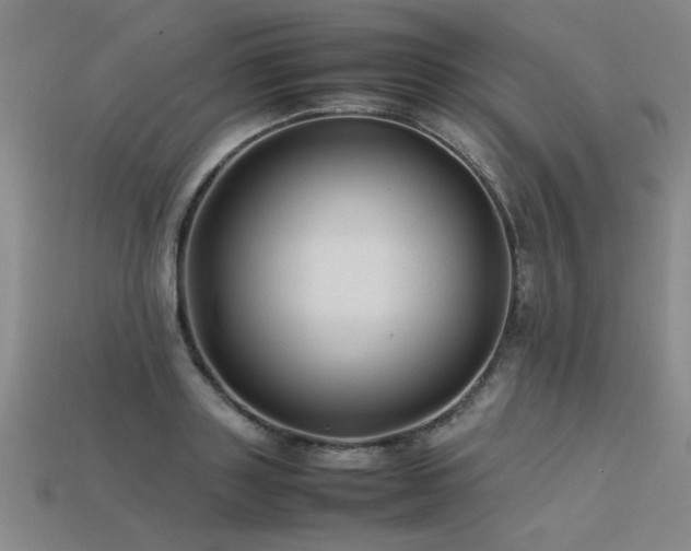 X0000113620843200909181438