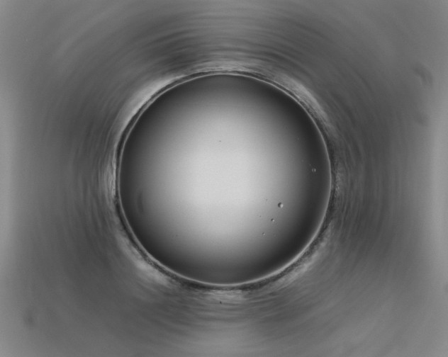 X0000113620844200909181438