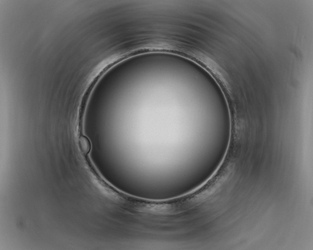 X0000113620845200909181438