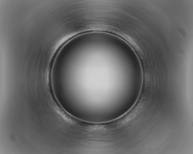 X0000113620846200909181438