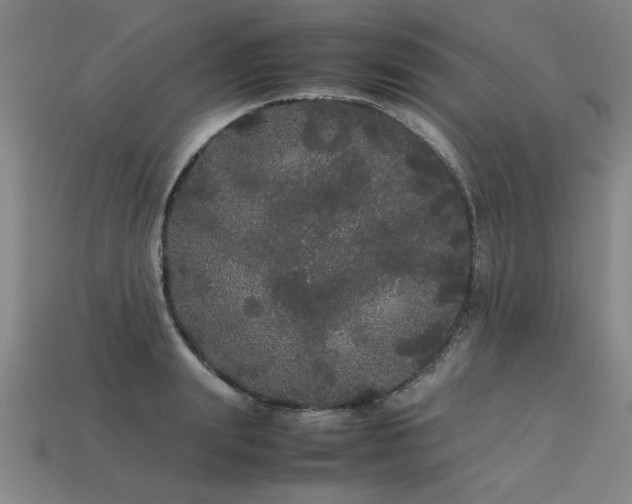 X0000113620847200909181438