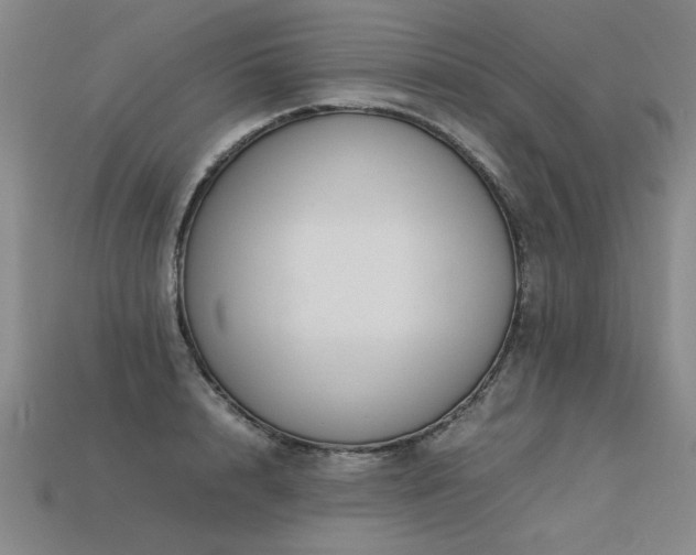 X0000113620848200909181438