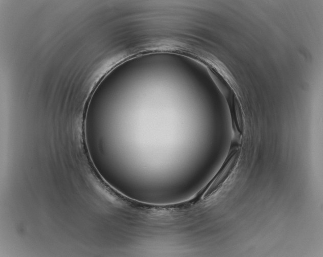 X0000113620850200909181438