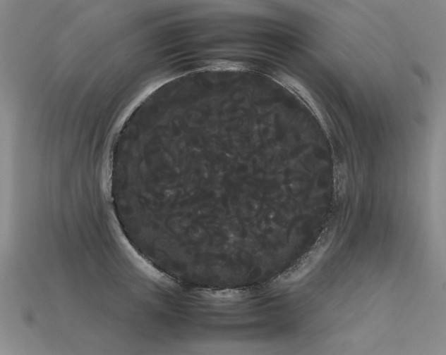 X0000113620851200909181438