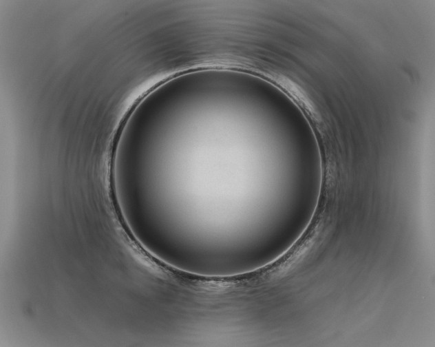 X0000113620854200909181438