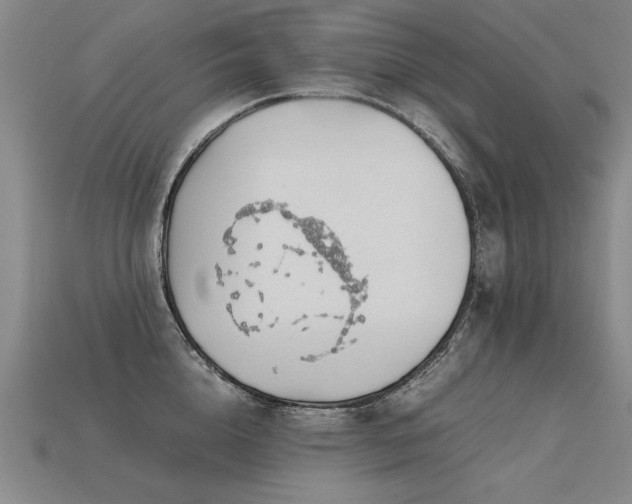 X0000113620856200909181438