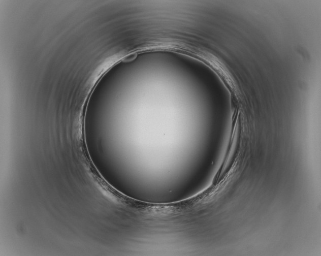 X0000113620858200909181438