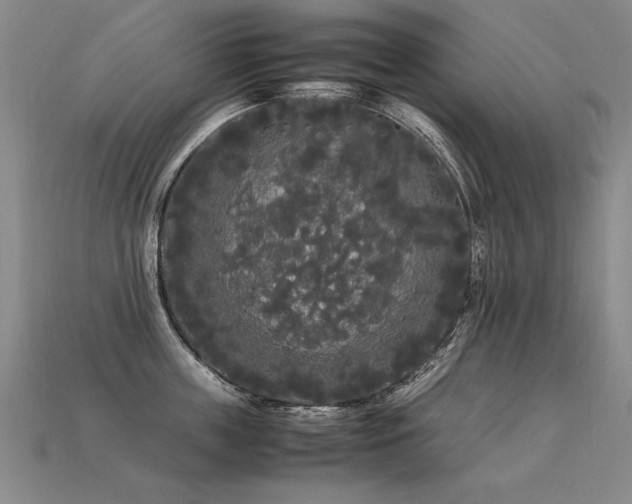 X0000113620859200909181438