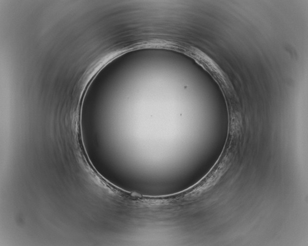 X0000113620860200909181438