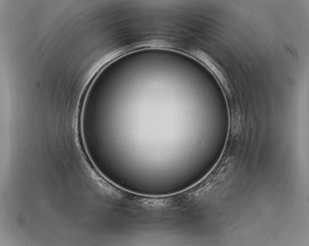 X0000113620861200909181438