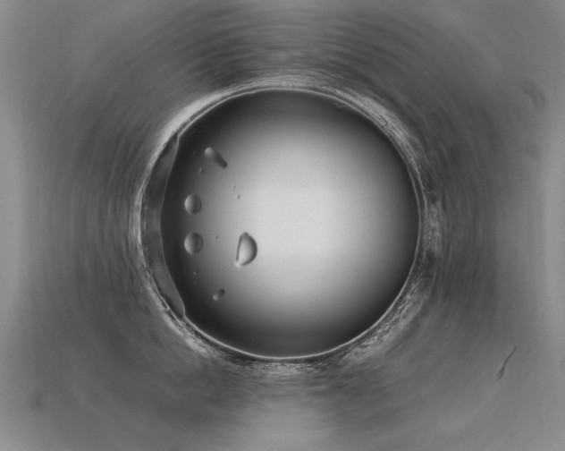 X0000113620862200909181438