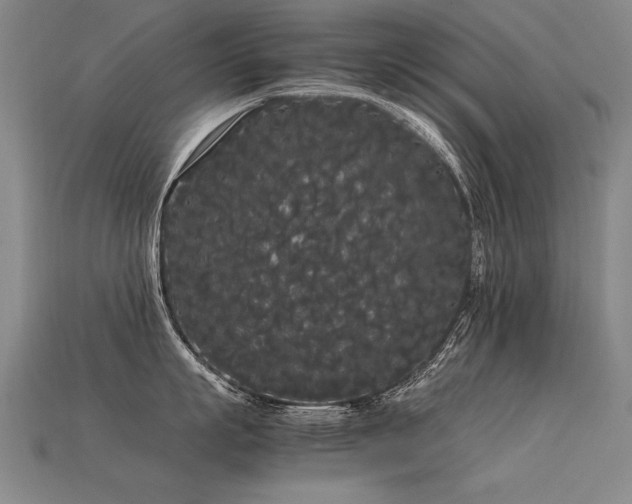 X0000113620863200909181438