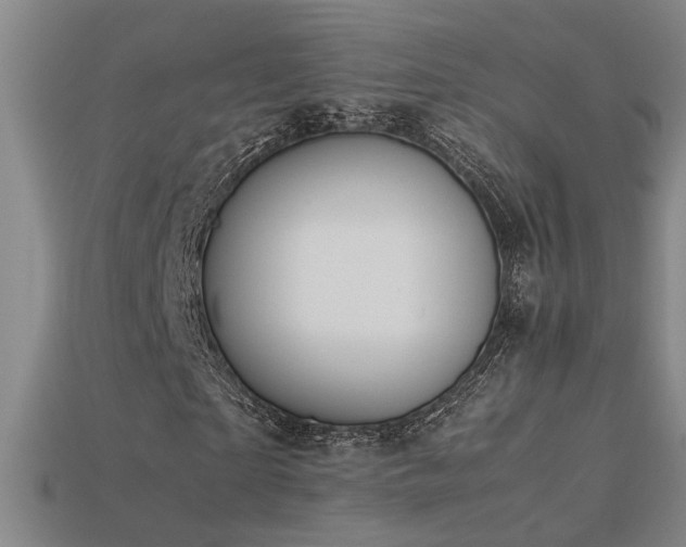 X0000113620865200909181437