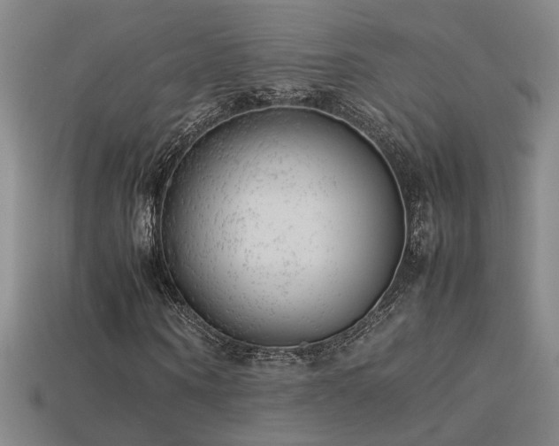 X0000113620866200909181437