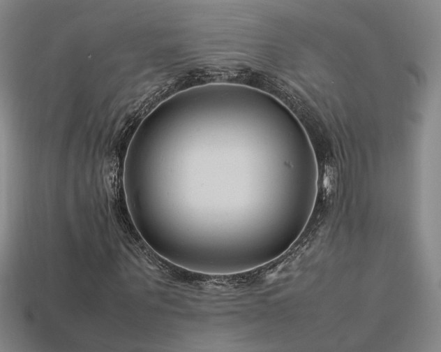 X0000113620867200909181437