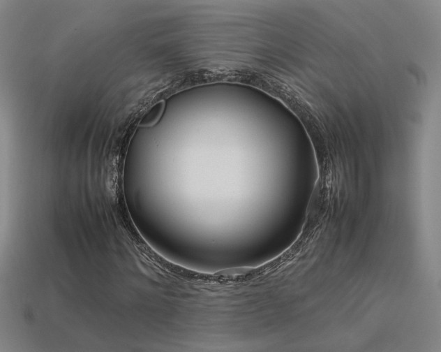 X0000113620868200909181437