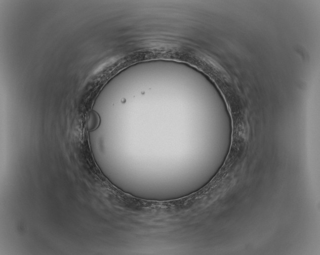 X0000113620869200909181437