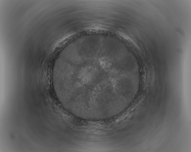 X0000113620870200909181437