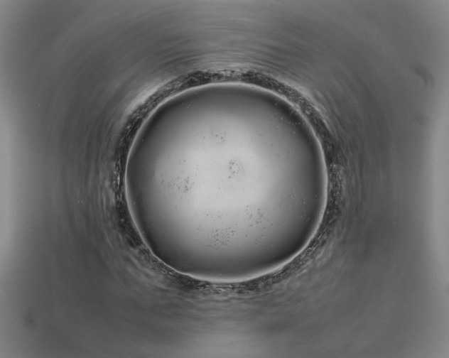 X0000113620871200909181437